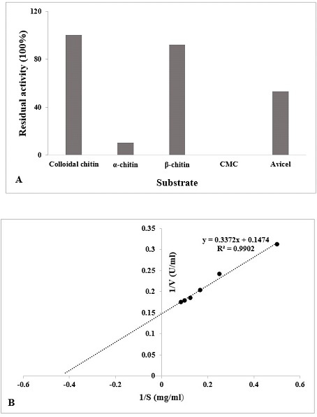 Fig. 8.