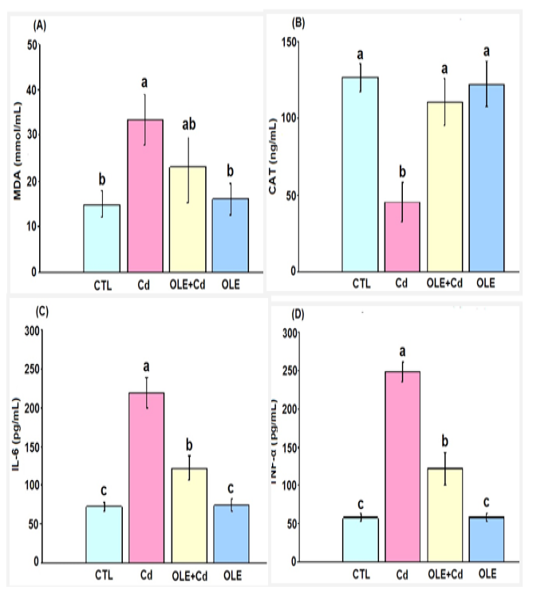 Figure 2 A-D