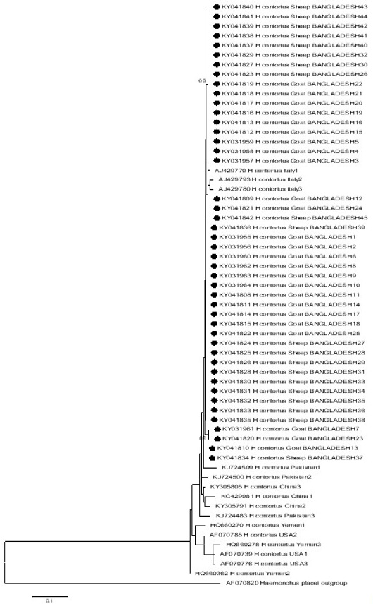Figure 3: