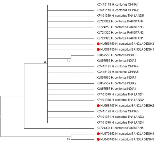 Figure 4: