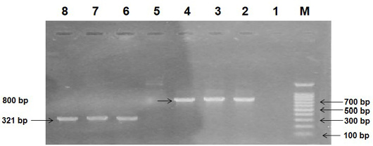 Figure 2: