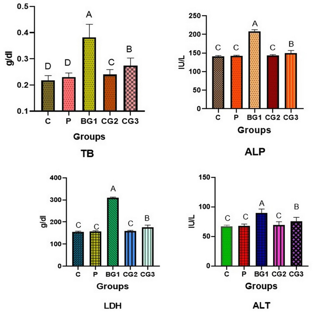 Figure 2: