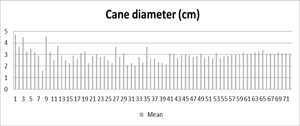 Figure 5: