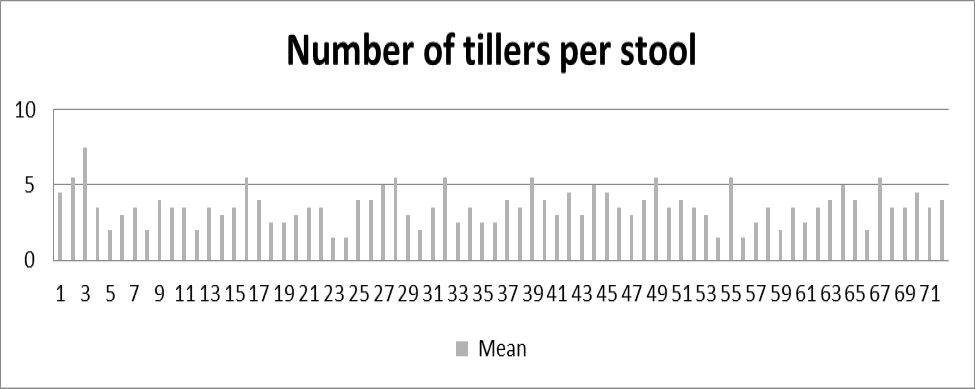 Figure 6: