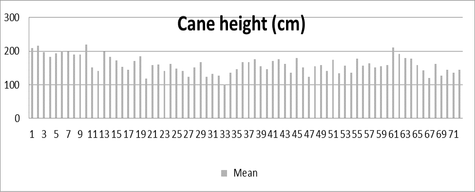 Figure 4: