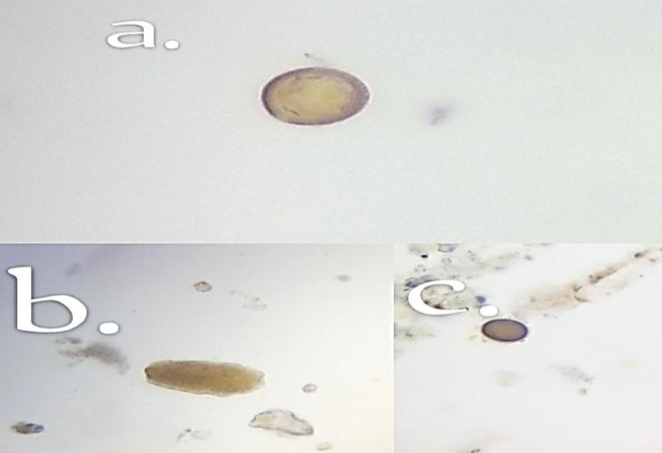 Figure 2: