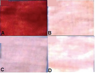Fig. 4.