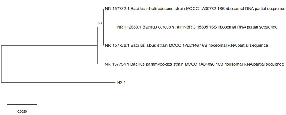 Fig. 5.