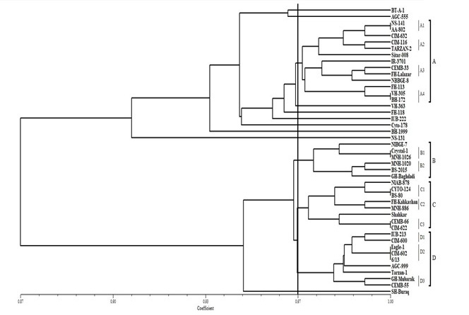 Figure 4: