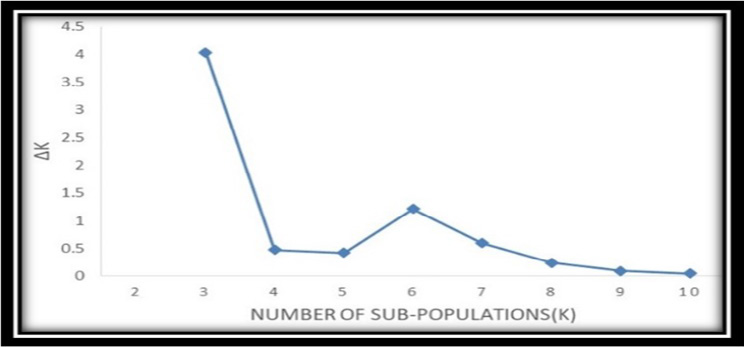 Figure 6: