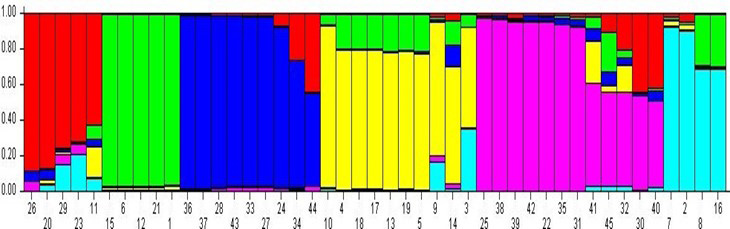 Figure 7: