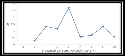 Figure 5: