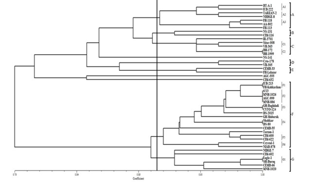 Figure 3: