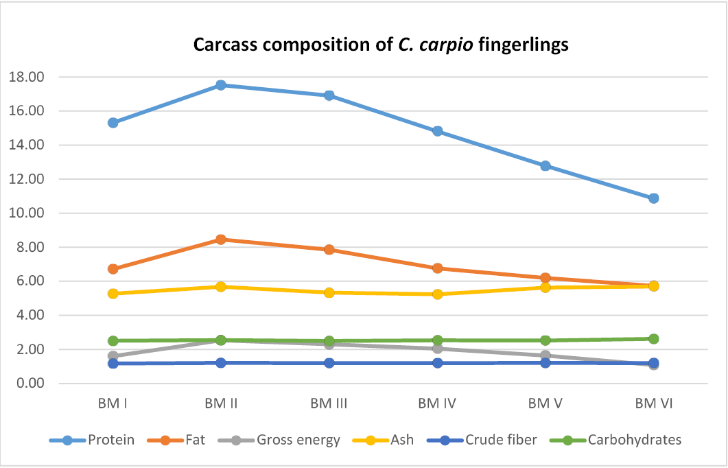 Figure 3:
