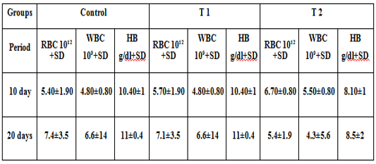 Table 1: