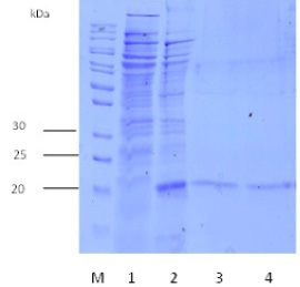 Figure 5: