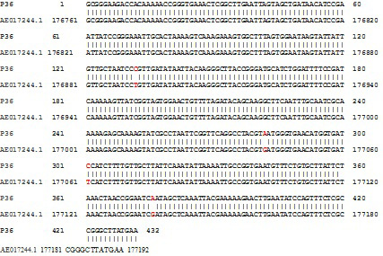 Figure 3: