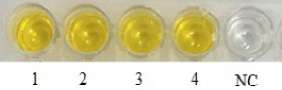 Figure 6: