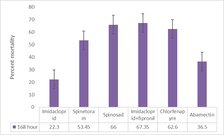 Figure 6: