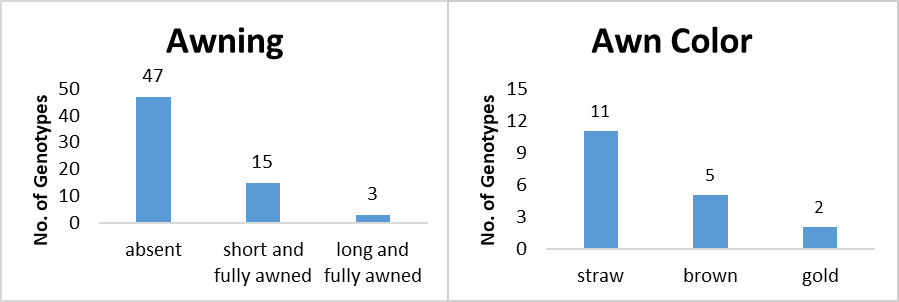Figure 3: