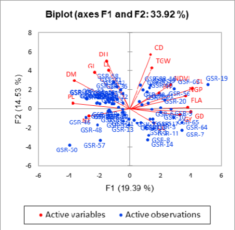 Figure 7: