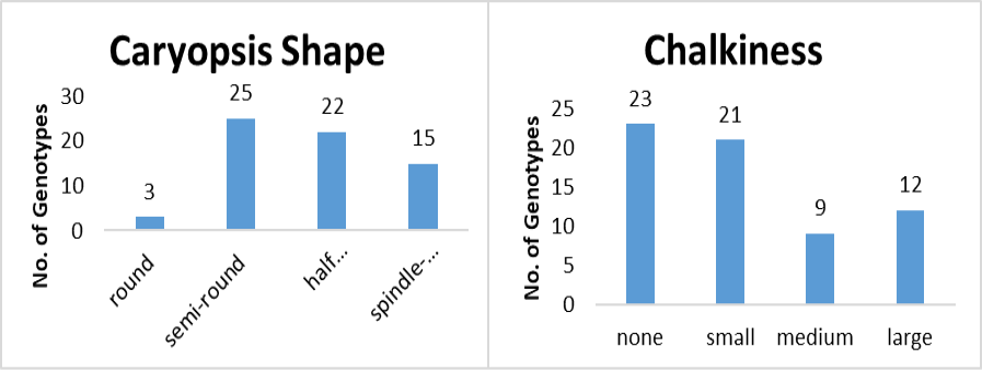 Figure 4: