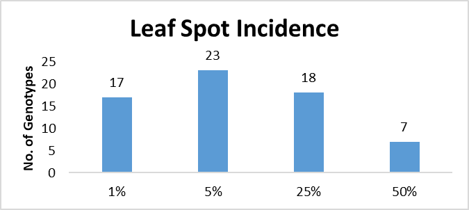 Figure 5: