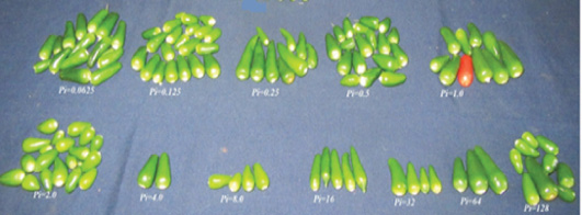 Figure 2: