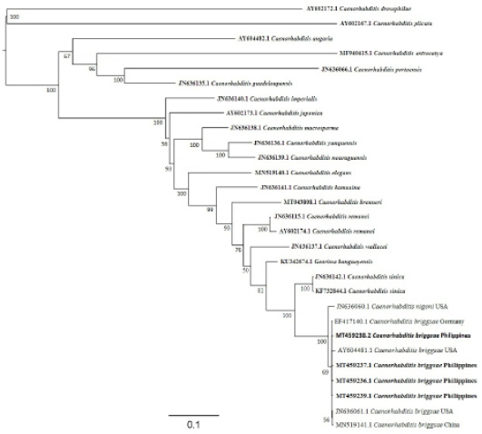 Figure 2: