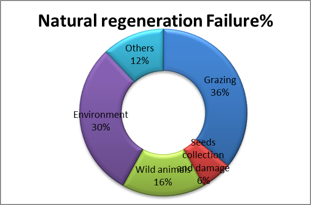 Figure 6: