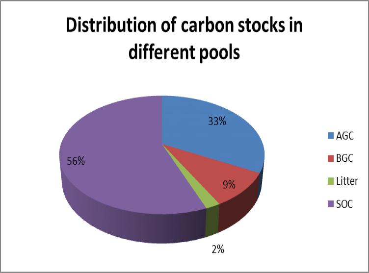 Figure 3: