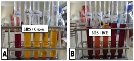 Figure 2: