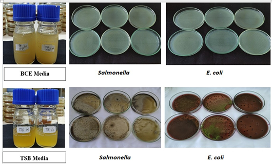 Figure 4: