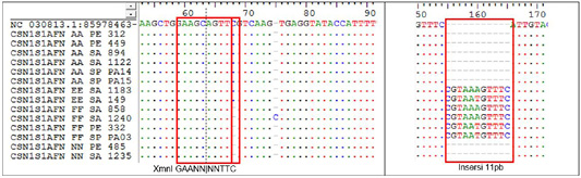 Figure 2: