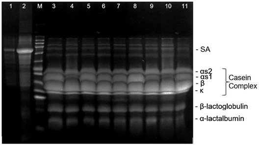 Figure 4: