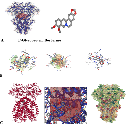 Figure 5: