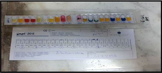 Figure 3: