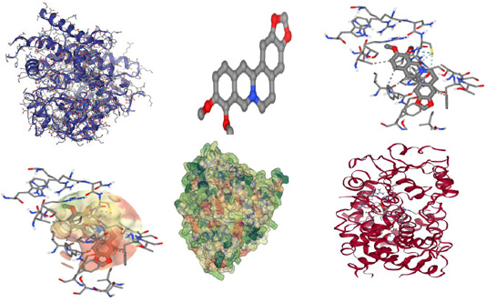 Figure 6: