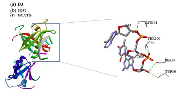 Figure 7: