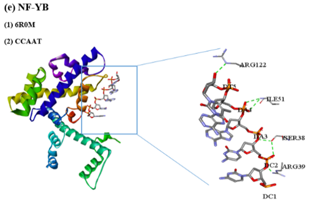 Figure 11: