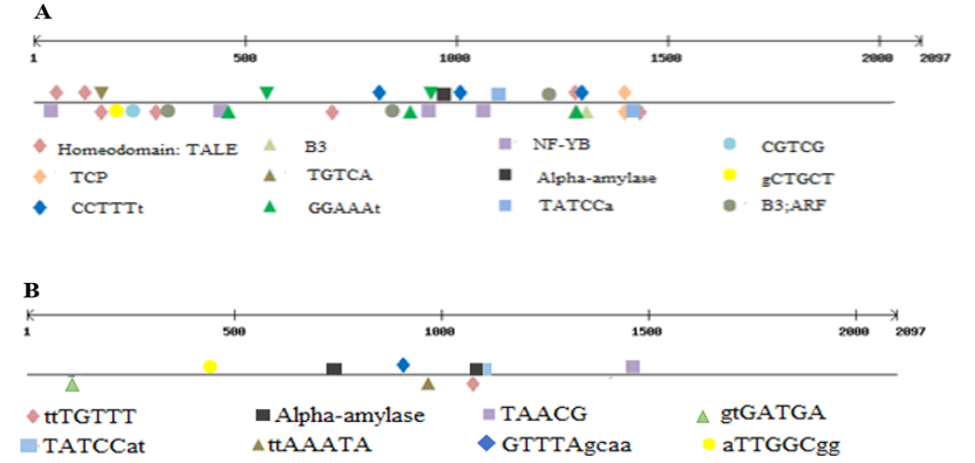 Figure 4: