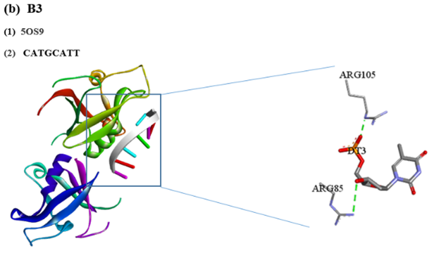 Figure 8: