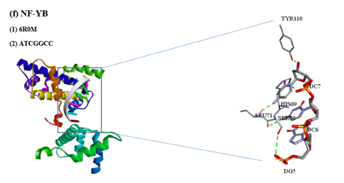 Figure 12: