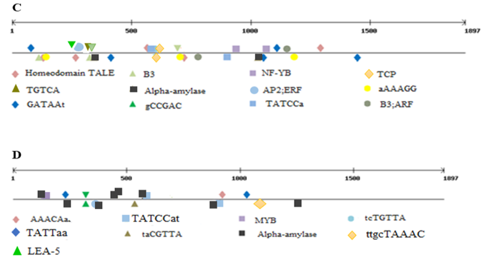 Figure 5: