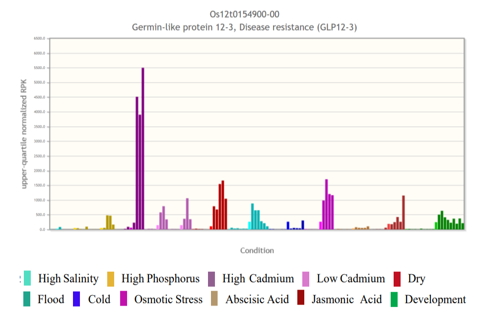 Figure 6: