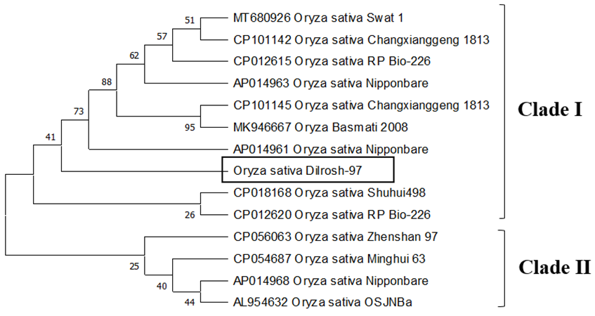 Figure 3:
