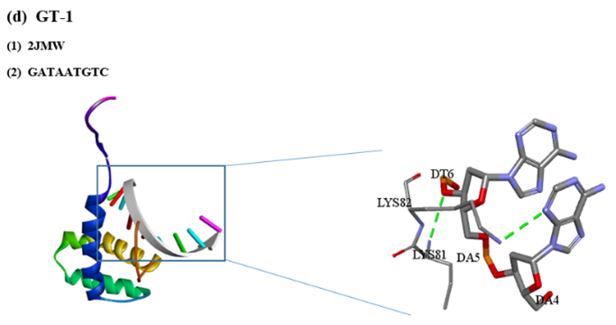 Figure 10: