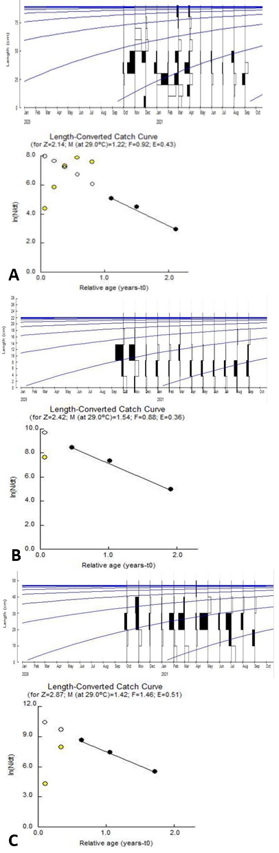 Fig. 3.