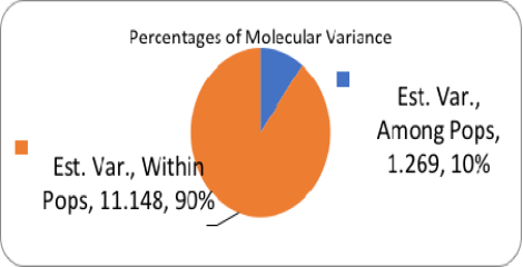 Figure 4:
