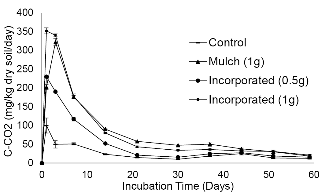 Figure 2: